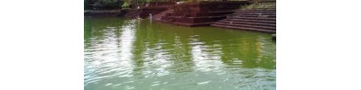 பையனூர்
